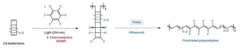 An image showing the synthesis of fluorinated polyacetylene starting from ladderdiene