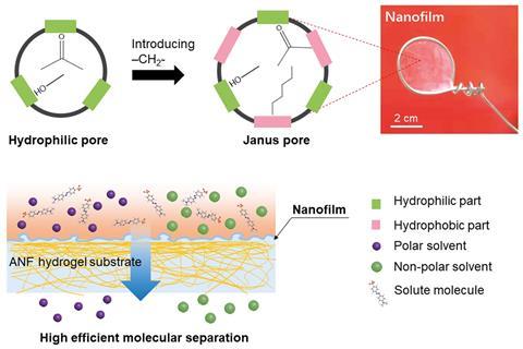 An image showing a Janus pore structure