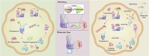 Schematic overview of TPD modalities. The left panel displays the ubiquitin-proteasome system and a protein not specifically targeted by E3 ubiquitin ligases, remaining undegraded. The middle panel presents the structural configurations of molecular glues