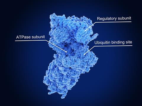 Proteasome