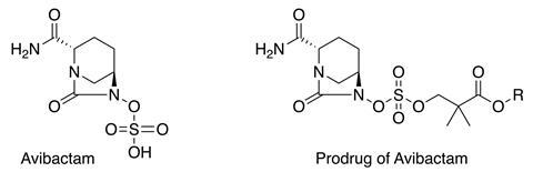 Avibactam and avibactam prodrug structures