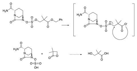 Mechanism of avibactam release