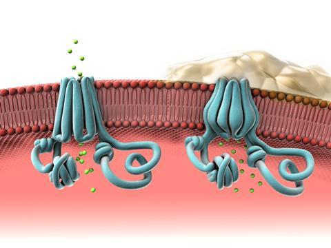 An image showing normal and abnormal CFTR proteins