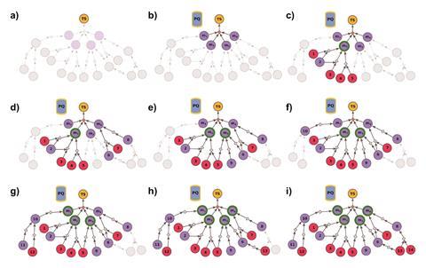 An image showing Chematica’s multi-compound synthetic search in action