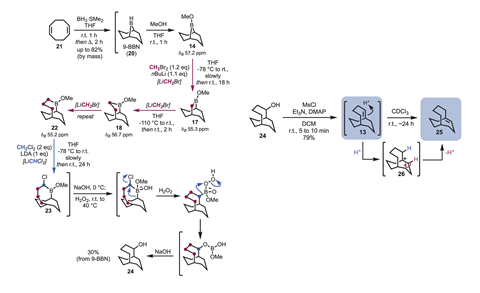 Chemical schemes showing the step by step creation of a new bridgehead alkene