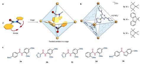An image showing the trapping of twisted amides by confinement in a coordination cage