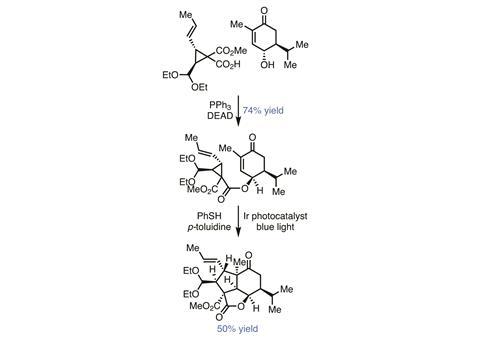 Organic Matter - Pavidolide, Fig 2