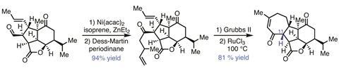 Organic Matter - Pavidolide, Fig 3