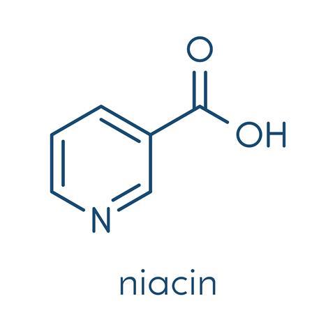 Vitamin B3 (niacin) molecule. Skeletal formula.