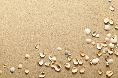 Sea shells on sand