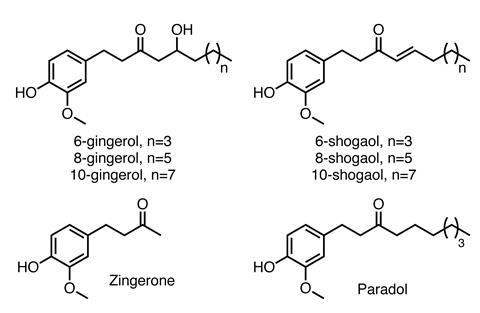 gingerol