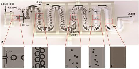 Diagram of the microfluidic device for microbubble generation and shrinking