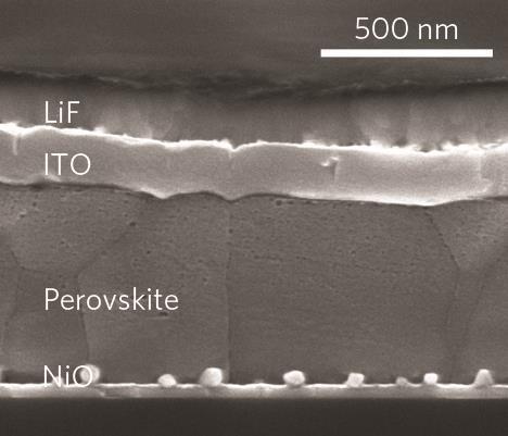SEM of perovskite top cell - Fig2c