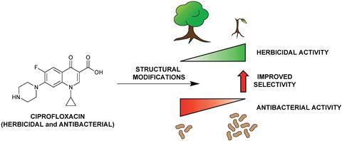 Antibacterial activity and antibiotic-modifying action of