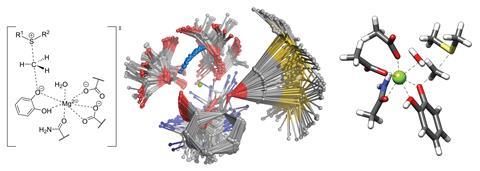 An image showing the ligand geometries