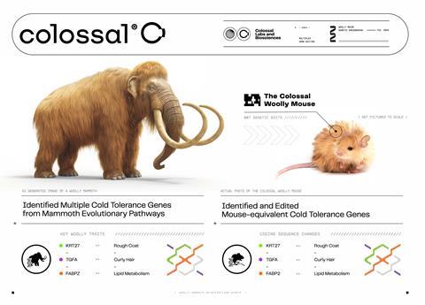 Colossal Wolly mammoth mice genes