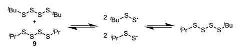 Thermal equilibration of tetrasulfides