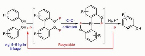 Chemdraw diagram showing unstrained C(aryl)−C(aryl) bonds in 2,2′-biphenols