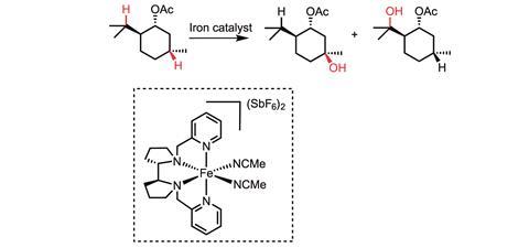 iron-catalysed C–H bond activation