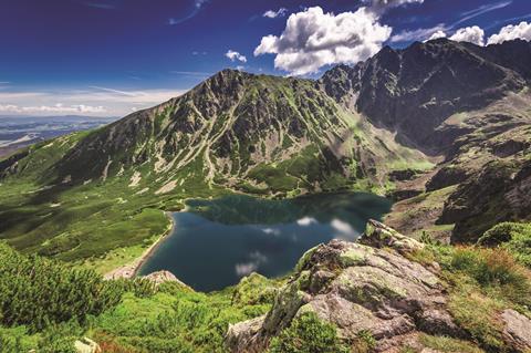 Czarnystaw gazienicowy, Tatry w Polsce