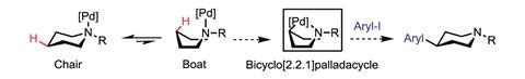 palladium-catalysed C-H activation