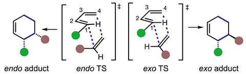 An image showing endo/exo transition structures (TSs) and products in Diels–Alder (DA) reactions