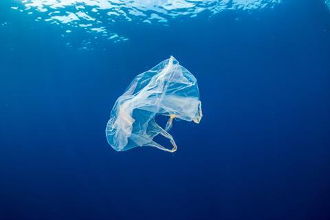 plastic bag in water