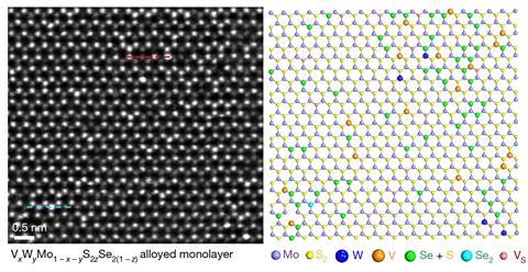 STEM image of quinary monolayer alloy