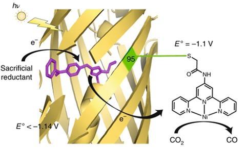 Proposed catalytic mechanism of PSP2T