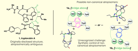 An image showing, on the left, originally-proposed structure of tryptorubin A and on the right, two non-canonical atropisomers are possible within the limits of the originally-proposed 2D structure