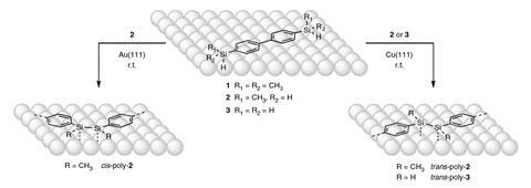 An image showing the general reaction scheme of the on-surface reactivity of biphenylsilanes on the Cu(111) and Au(111) surfaces