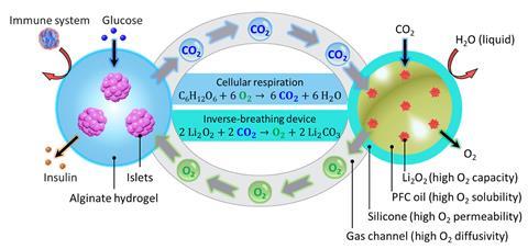 A schematic representation of the inverse-breathing system