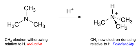 Trimethylamine and a protonated ammonium species