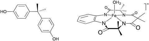 BPA and the catalyst