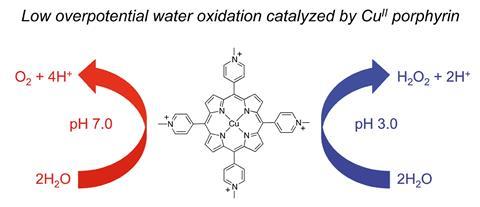 A scheme showing the catalysis of the oxygen evolution reaction in neutral aqueous solutions