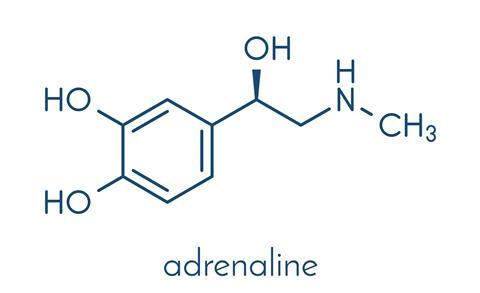 Adrenaline (adrenalin, epinephrine) neurotransmitter molecule.