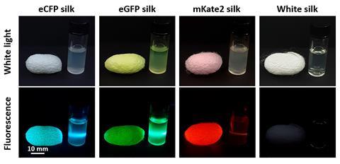 Photographs and fluorescence images of silk