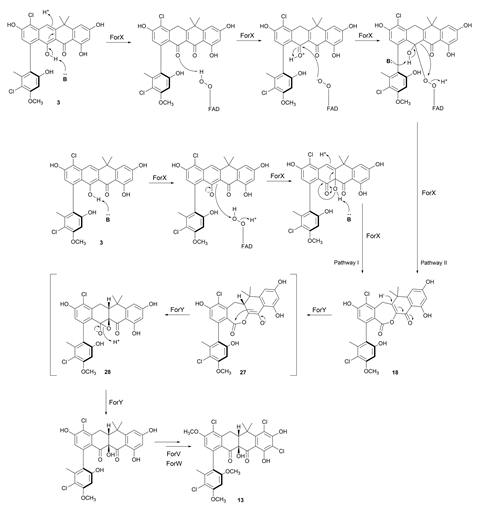 An image showing the two-step pathway