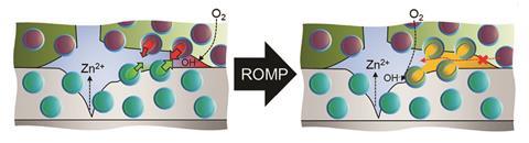 Schematic of self-healing reaction at the delamination front upon onset of corrosion