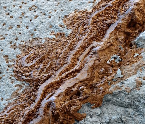 SEM of rust (brown) on painted sheet metal