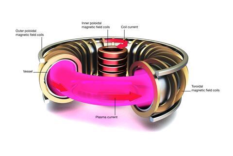 Tokamak nuclear fusion reactor