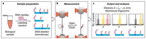 Schematic overview of single-molecule mechanical fingerprinting with DNA nanoswitch calipers