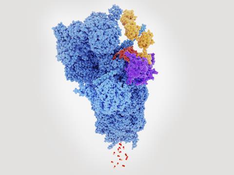 The proteasome degrading a protein labelled with ubiquitin