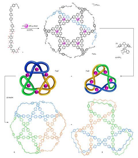 The 12 component assembly of the intermediate hexameric circular helicate and the synthesis of the composite knot