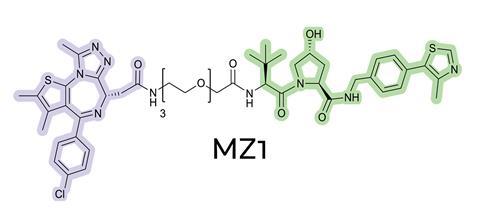 Chemical structure of the bivalent PROTAC MZ1 (in purple: the Brd4BD2 ligand; in green: the VHL ligand).