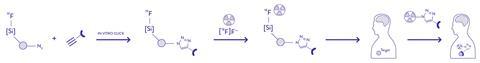 Scheme showing the process for attaching F-18 probes to molecules that target specific areas of the body