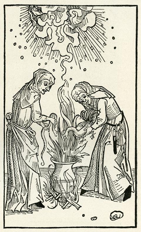 Woodcut image of two women adding a chicken and a snake to a cauldron