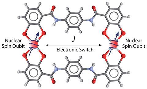 A molecular architecture where two vanadyl-based qubits are linked together is herein described and investigated as a platform for quantum simulation