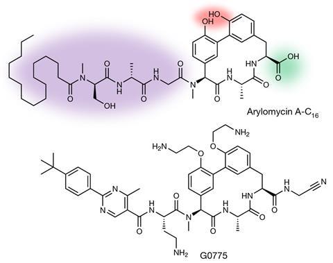 Chemical structures of arylomycin A-C16 and G0775