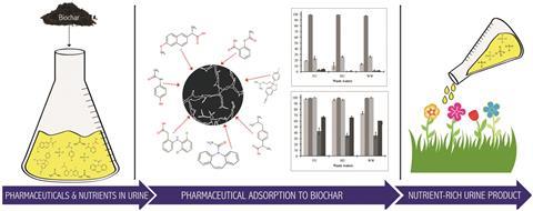 Pharmaceutical removal in synthetic human urine using biochar